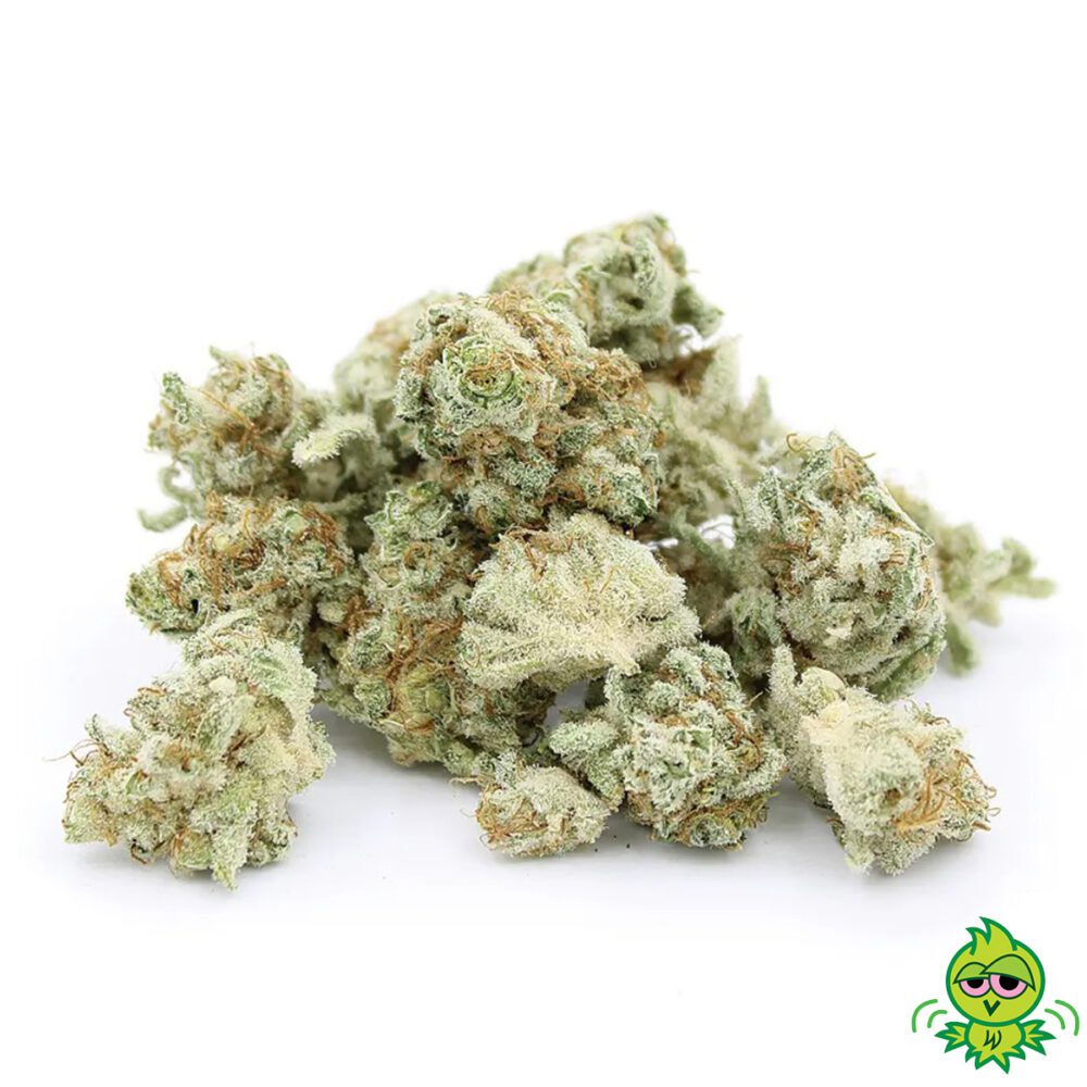 QUAD Mixed Buds