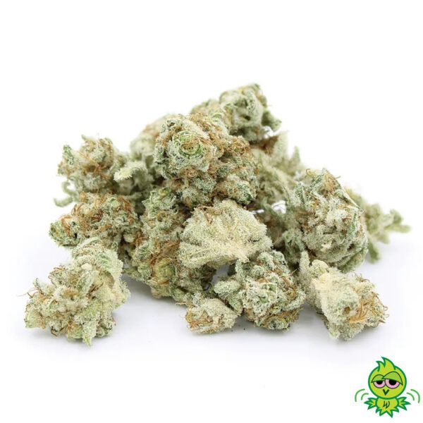 QUAD Mixed Buds