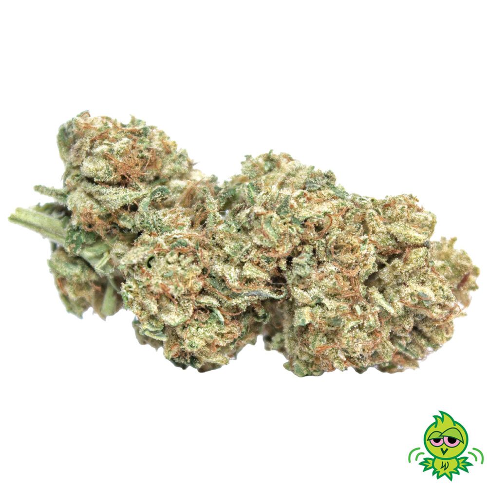 Dirty Kush Breath
