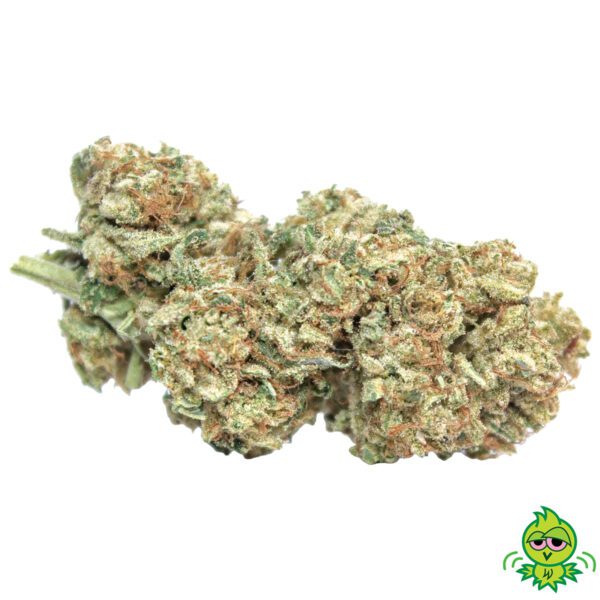 Dirty Kush Breath