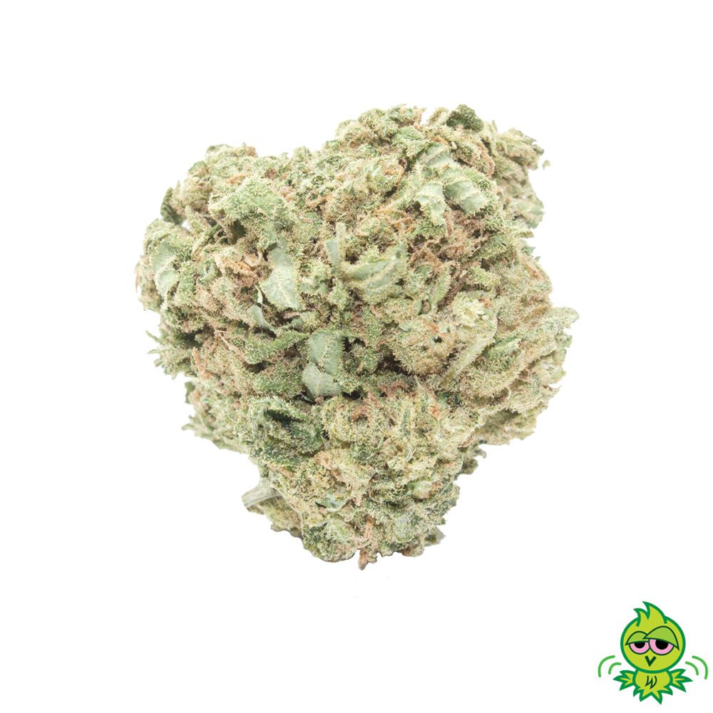 Pink Kush