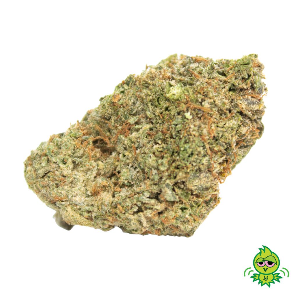 Alien Bubba