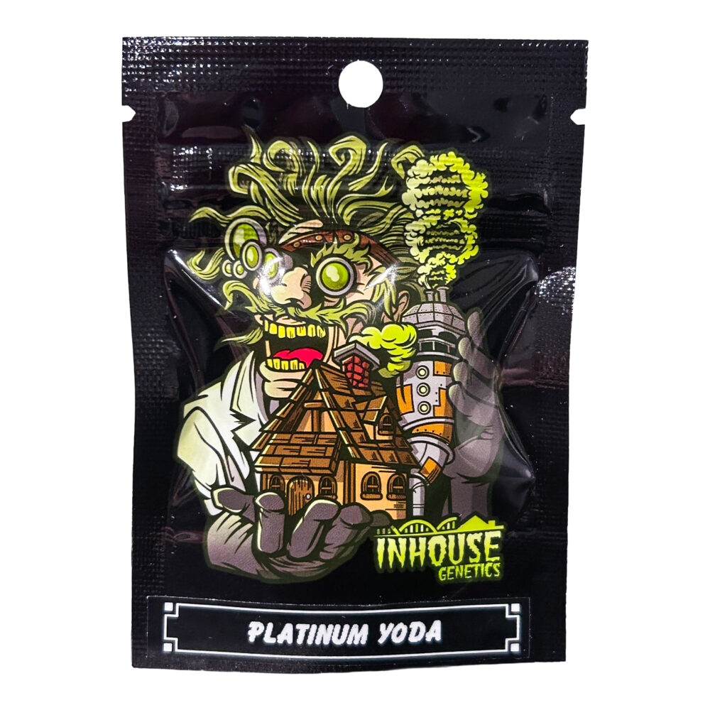 In House Genetics - Platinum Yoda (3 Feminized Seeds)