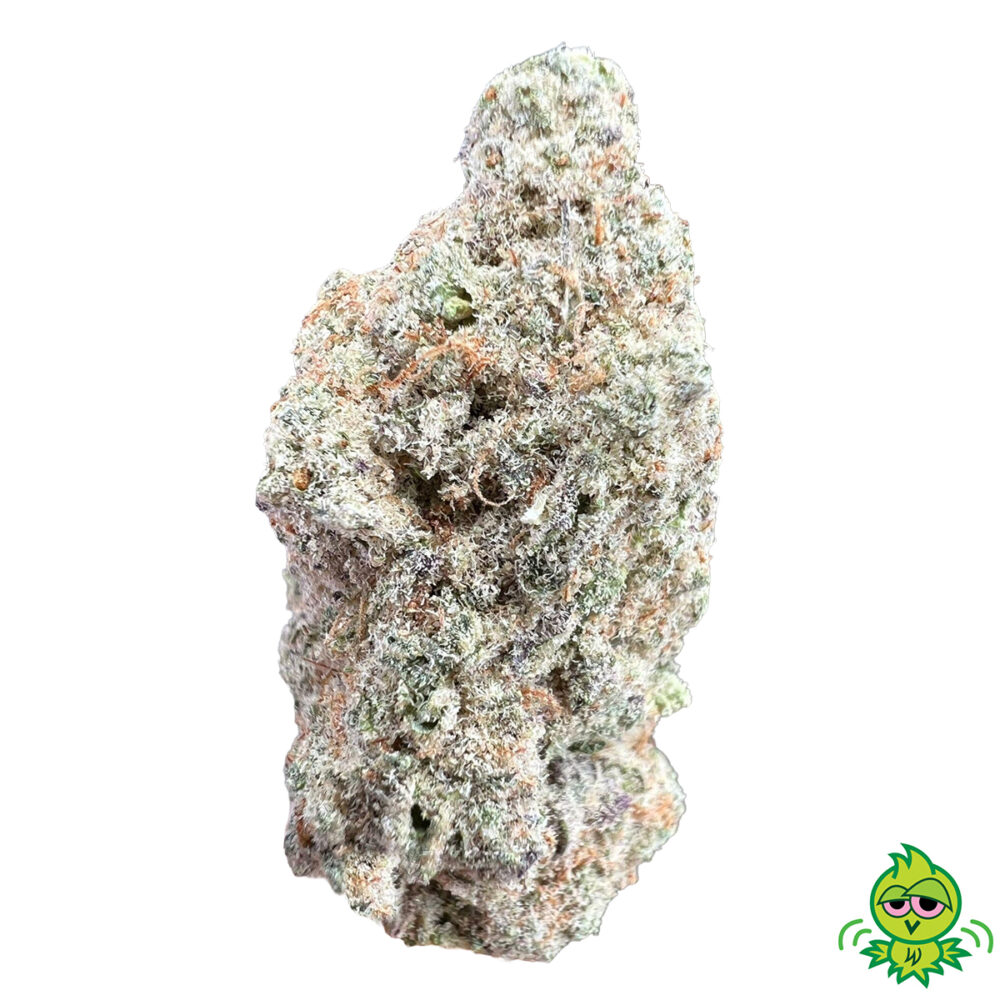 AAA+ Lemon Gushers (INDICA)