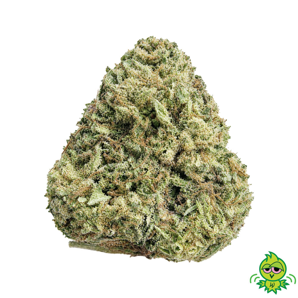 AAA+ LSO Meat Breath (INDICA) $75-OZ / $125-2OZ