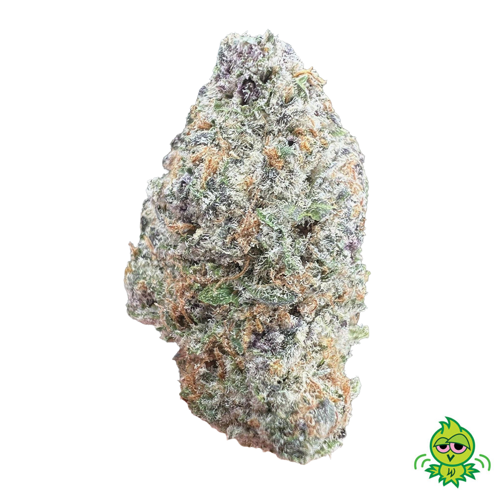 AAA+ Subzero (HYBRID)