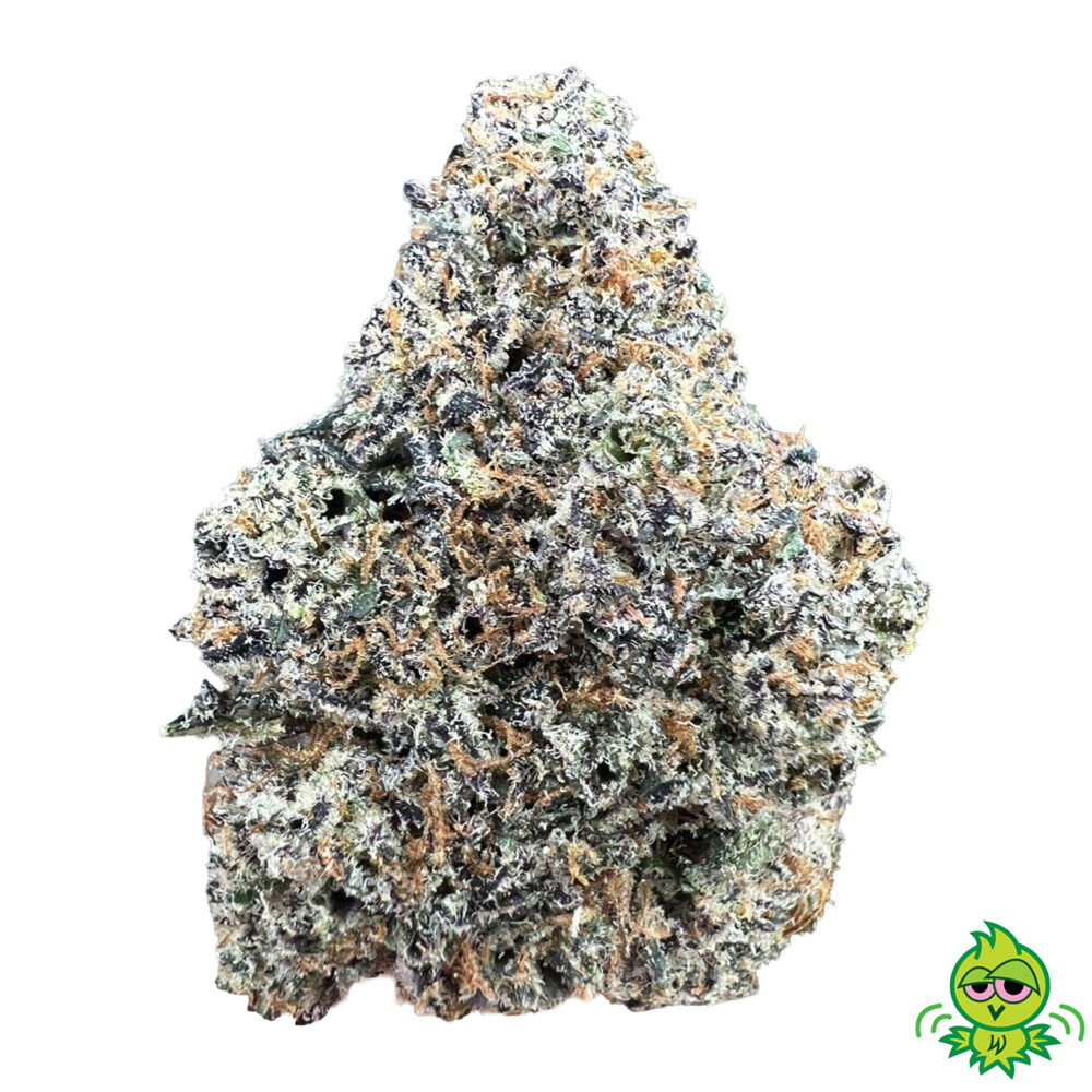 AAAA+ Black Gas (INDICA)