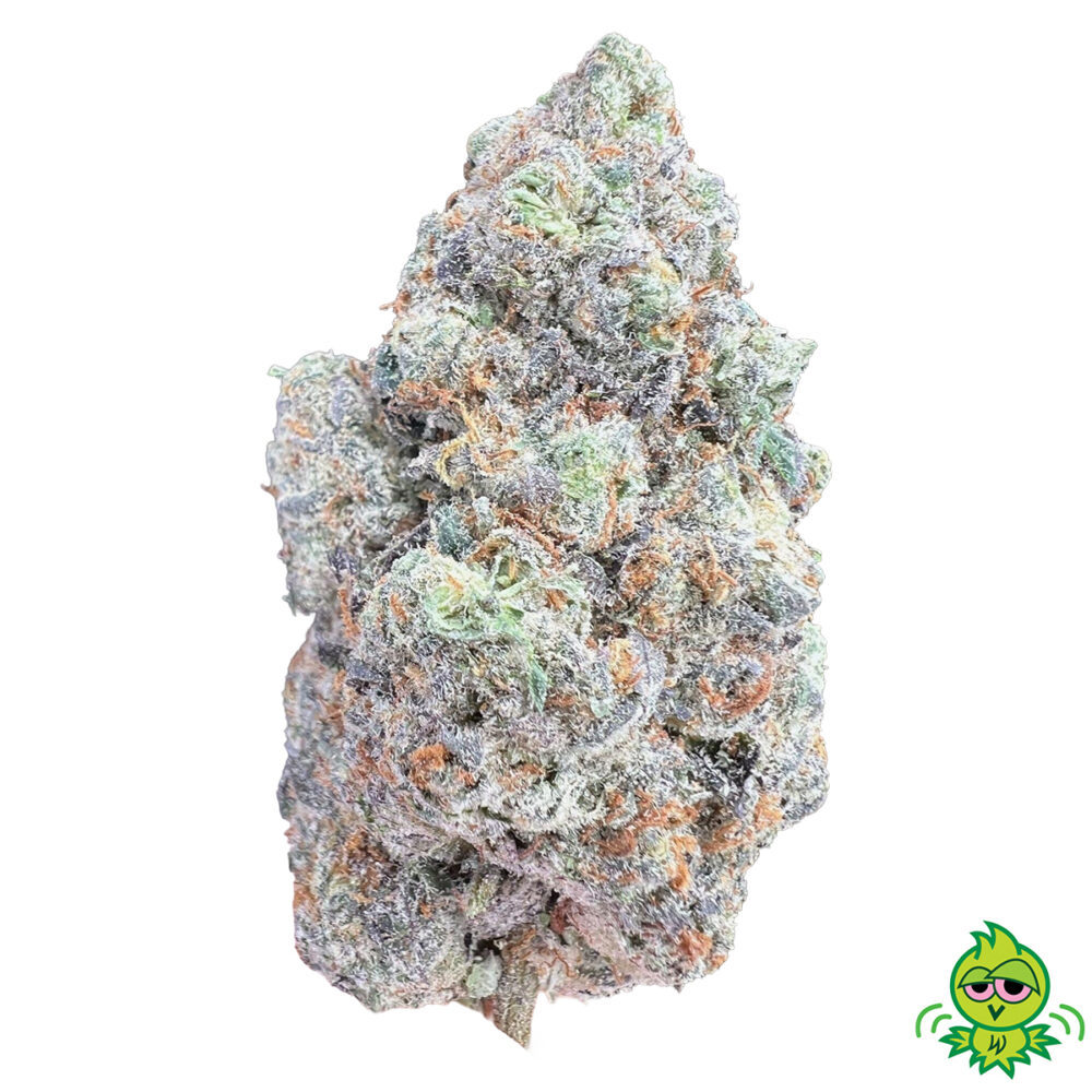 AAAA+ LSO Purple Alien Cookies (HYBRID)