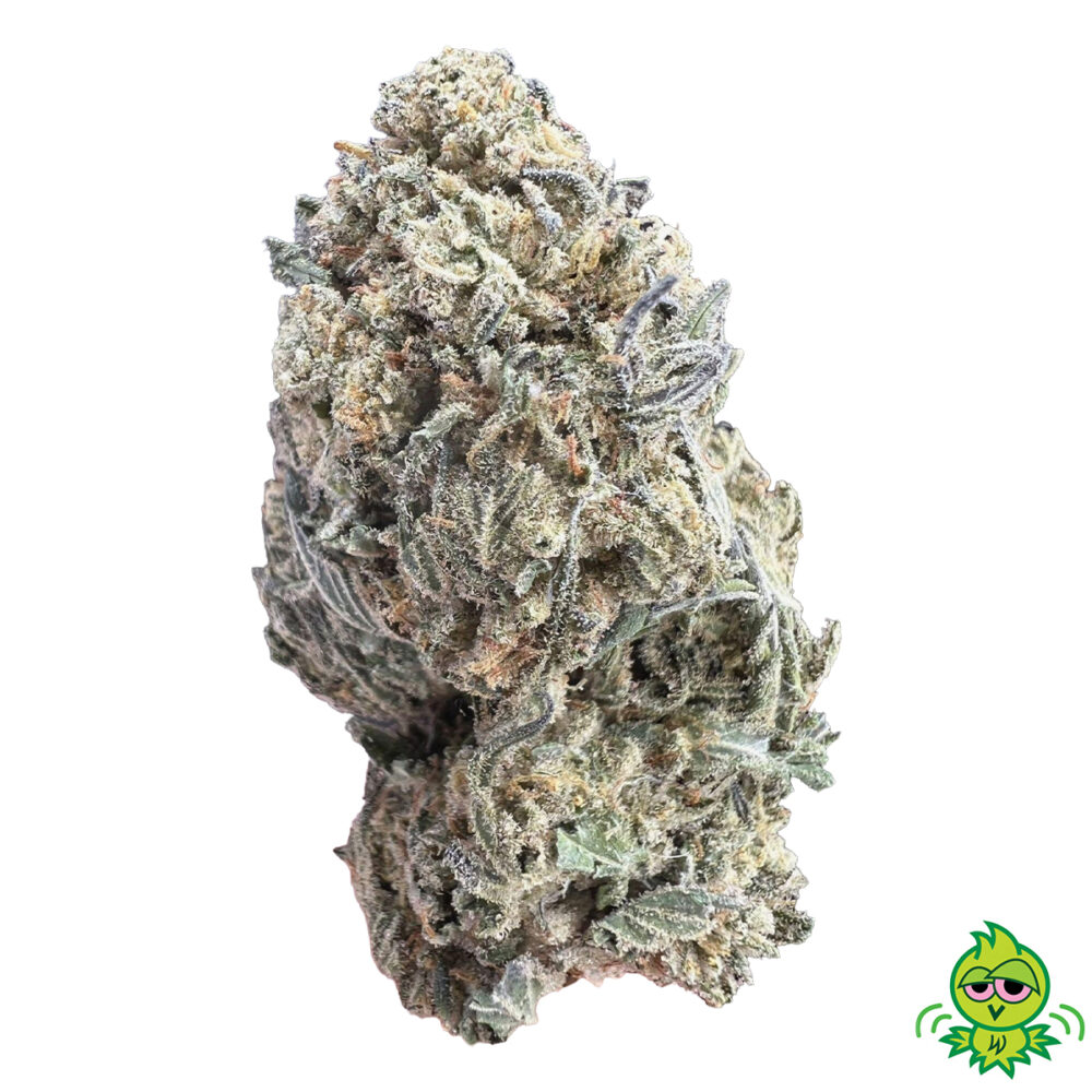 AAA Sugar Cane (SATIVA) $75-OZ / $125-2OZ