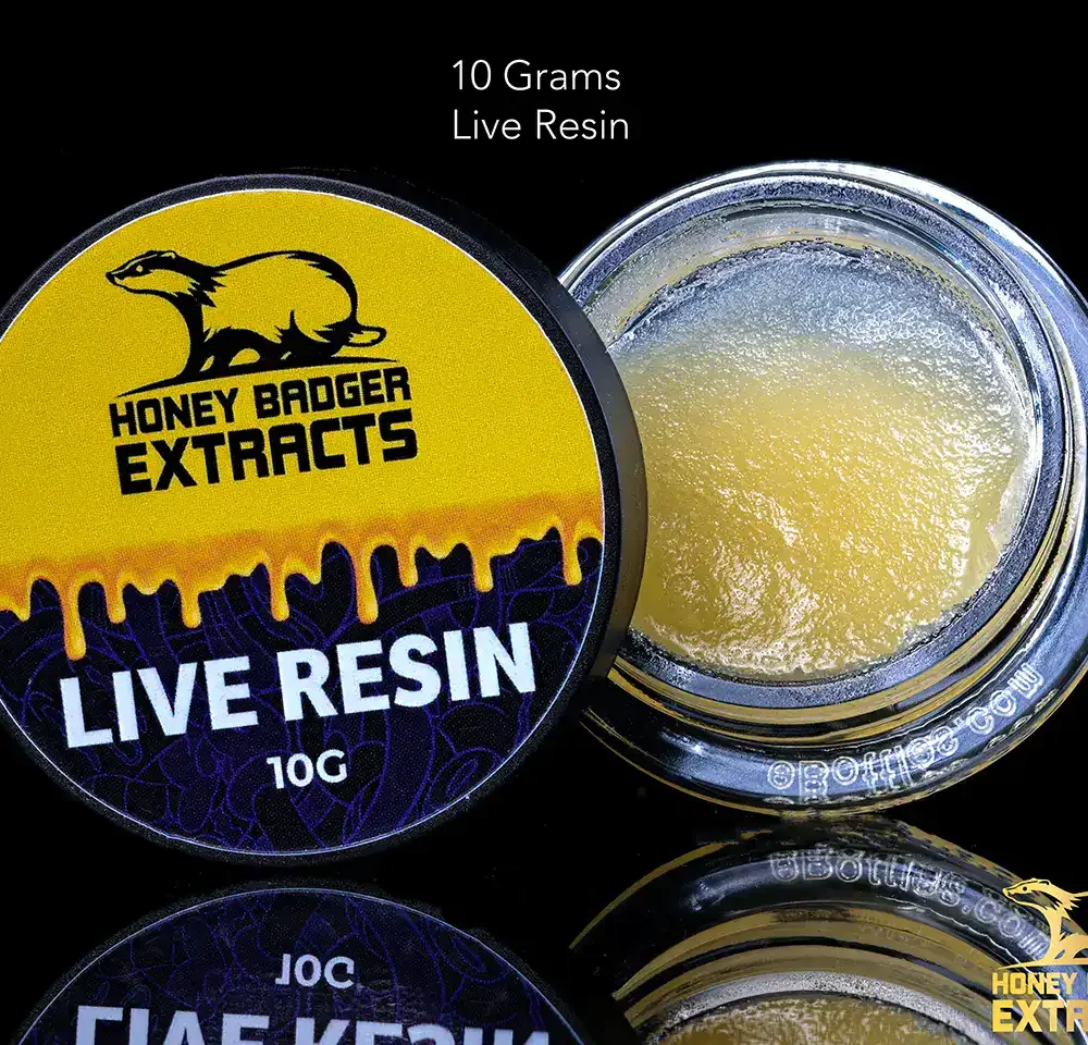 HONEY BADGER – LIVE RESIN BALLER JAR - Kashmir Pine (10 GRAM)