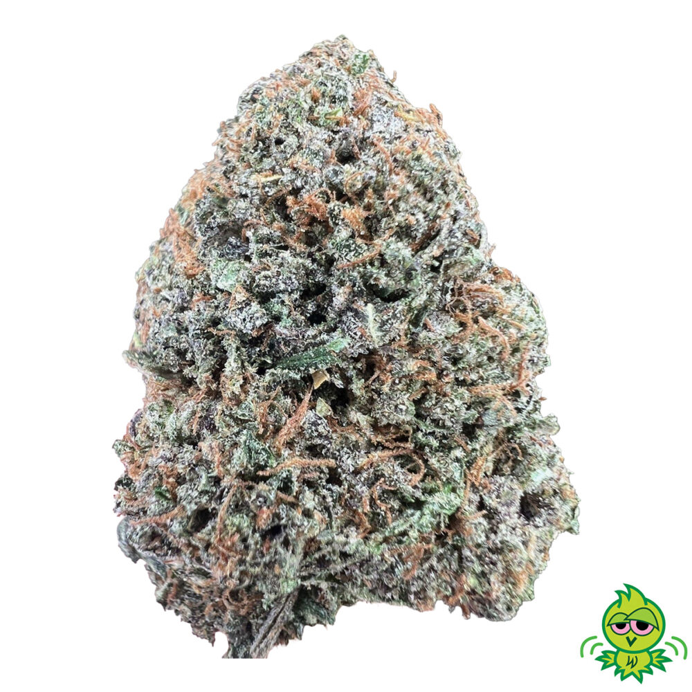AAAA+ PINK ROCKSTAR (HYBRID)