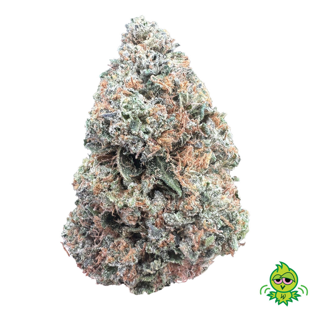AAAA+ MASTER KUSH (INDICA)