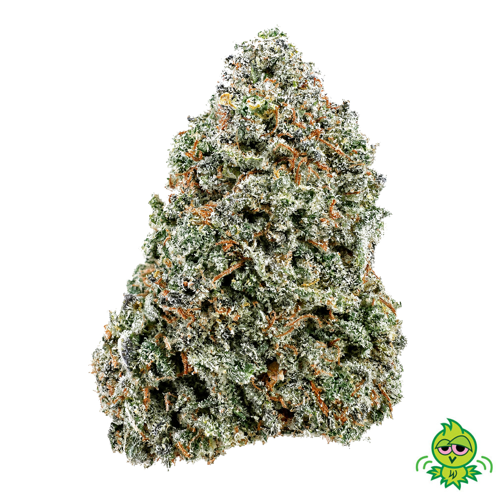 AAAA CHEESE QUAKE (INDICA)