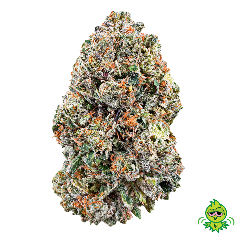 AAAA PINK GOO (INDICA)